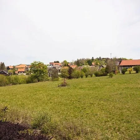 Apartment Harzgeiss