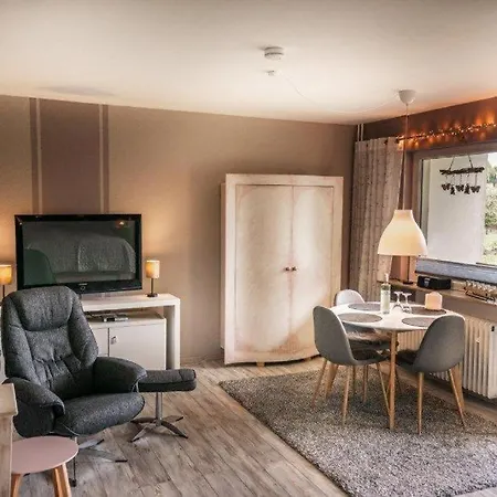 Harzgeiss Apartment