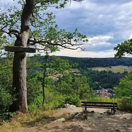 דירה Fewo-harzgeiss