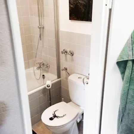 דירה Fewo-harzgeiss Hohegeiß