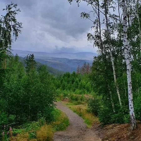 דירה Fewo-harzgeiss *