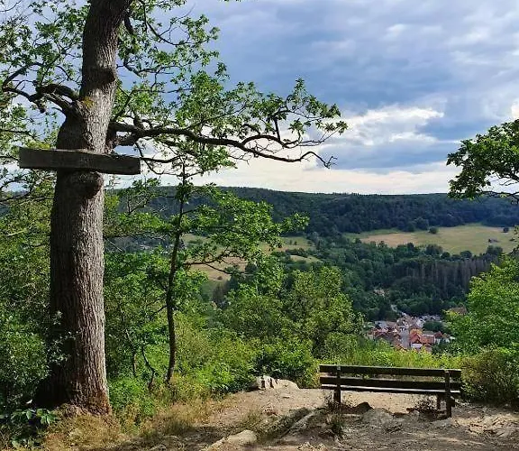 公寓 Fewo-harzgeiss