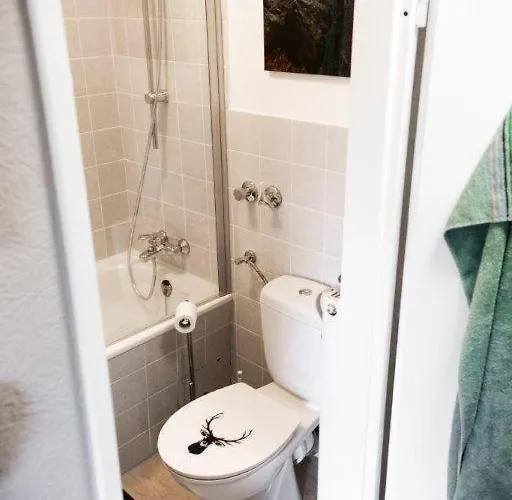 公寓 Fewo-harzgeiss Hohegeiß