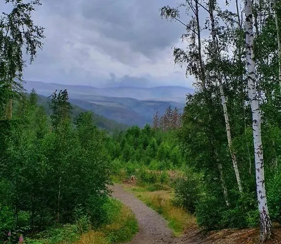 公寓 Fewo-harzgeiss *