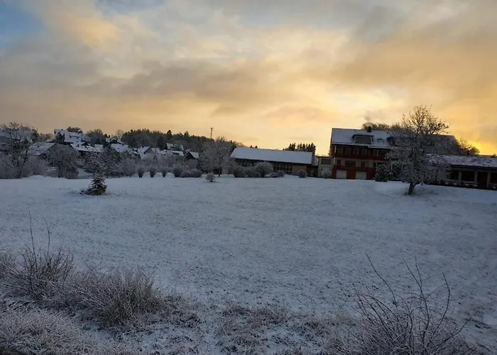 Fewo-harzgeiss 公寓 Hohegeiß